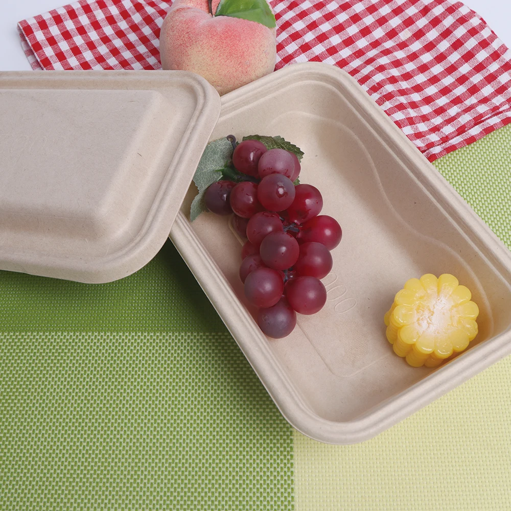 

Biodegradable Top Grade Straw Bagasse Sugarcane Bento Portable Salad Steak Takeaway Take Out Disposable Begasse Tableware, Earthy yellow