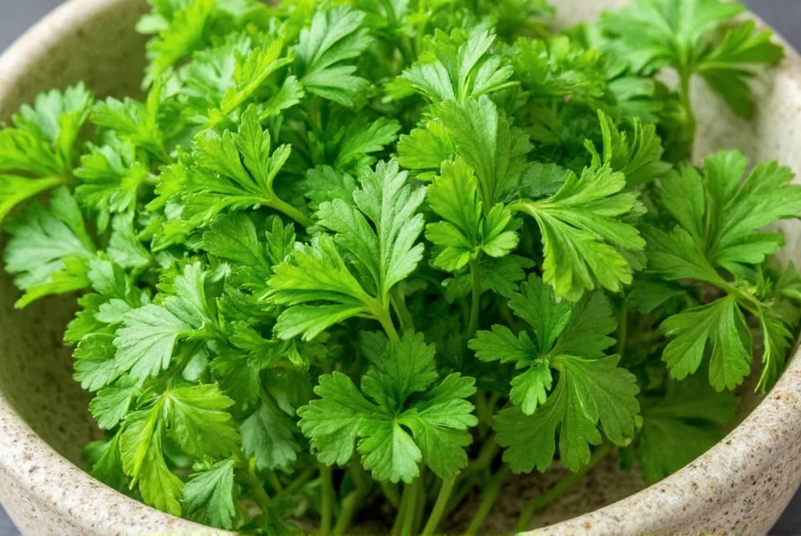 Fresh parsley leaves on a wooden board