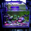 High quality freshwater saltwater fish tank used marine coral reef aquarium led lighting moonlight