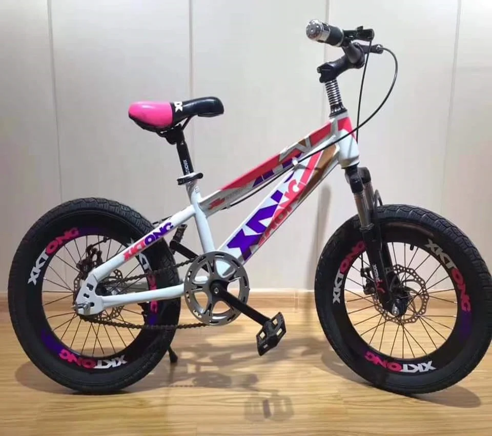 

new 20 inch boys mountain bike with 21 speeds double wall rims, Customized