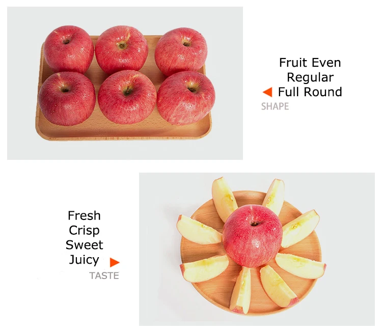 Apple fruit 2