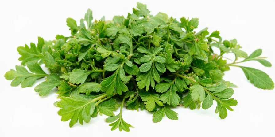 Growing chervil in a garden