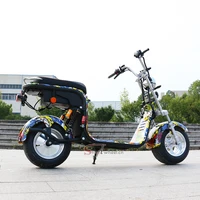 

2019 New EEC Approval Electric Scooter 2000w Motor Citycoco powerful for adult in Holland Warehouse