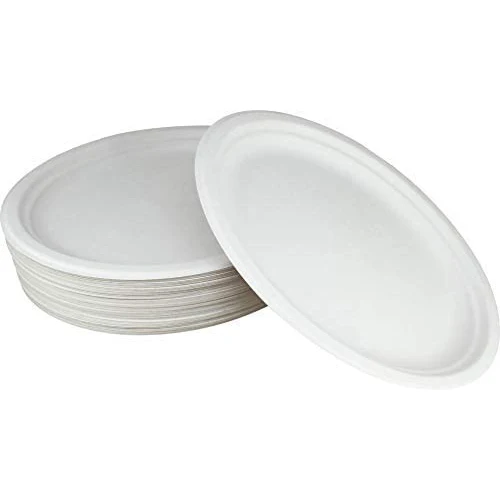 

Compostable Paper Plate Customized Paper Plates for Lunch Paper Tableware for Parties