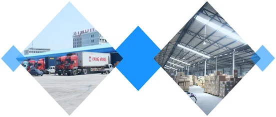 paste-pic-dp_uuid_p5n3d