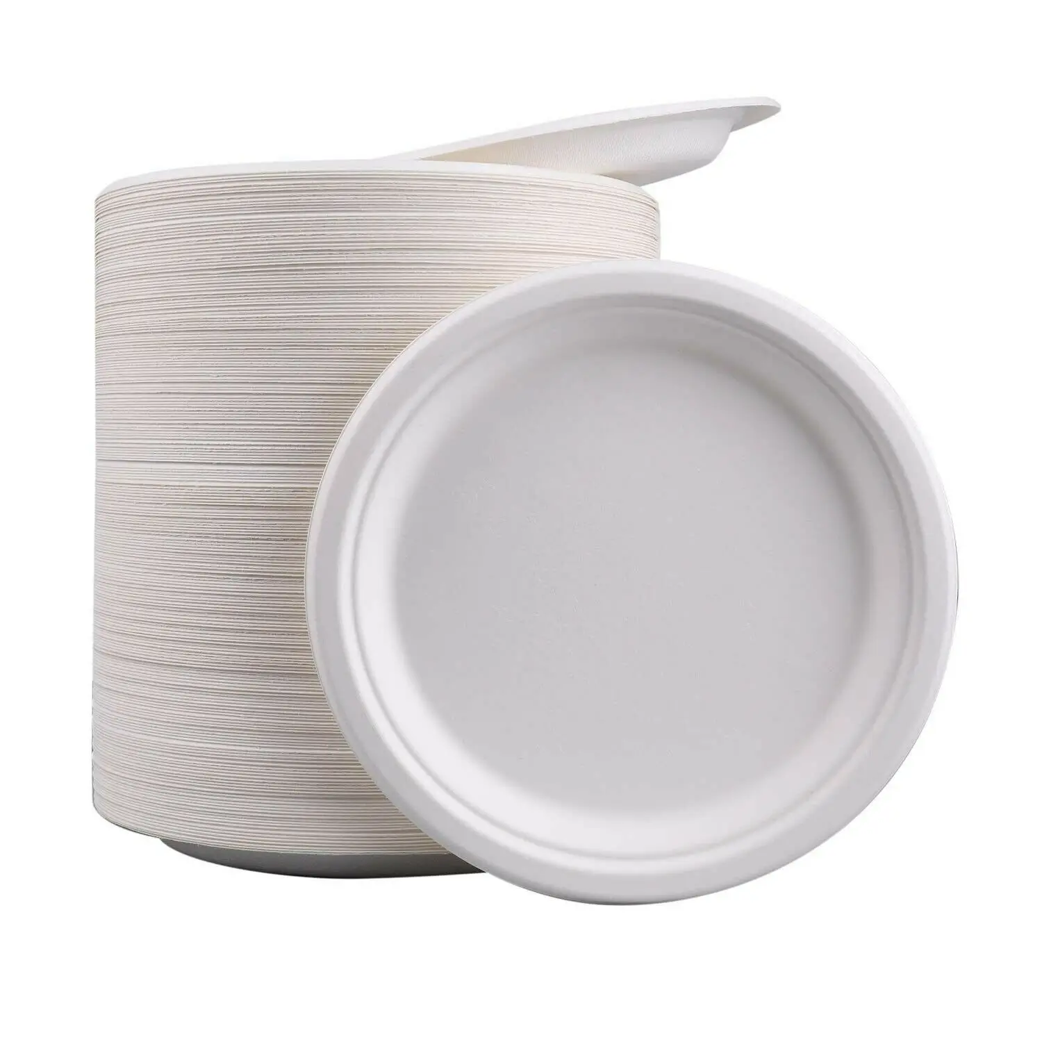 

2020 YangGuang Hot Selling 6 inch Pretty Paper Plates Sugarcane Bagasse Paper Best Disposable Plates