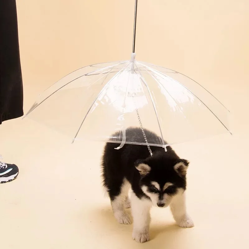 

YaQi invert reverse folding transparent dog cat face pet umbrella for women, Customized color acceptable