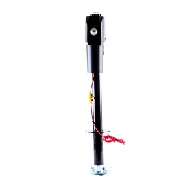 Electric Tongue Jack