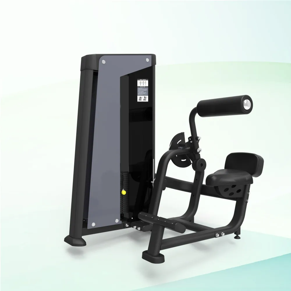 

Commercial Use Back Extension Exercise Machine Strength Machine Equipment Gymnastics Equipment Fitness Manufacturer For Fitness, Customized color