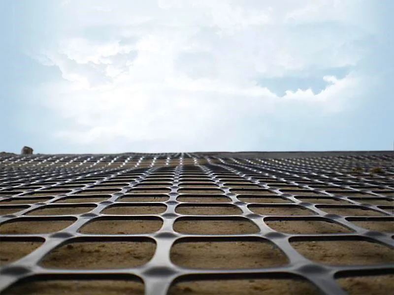 PP geogrid01