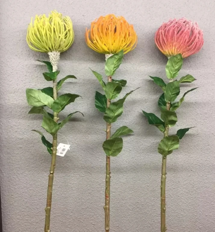 pincushion flower.jpg