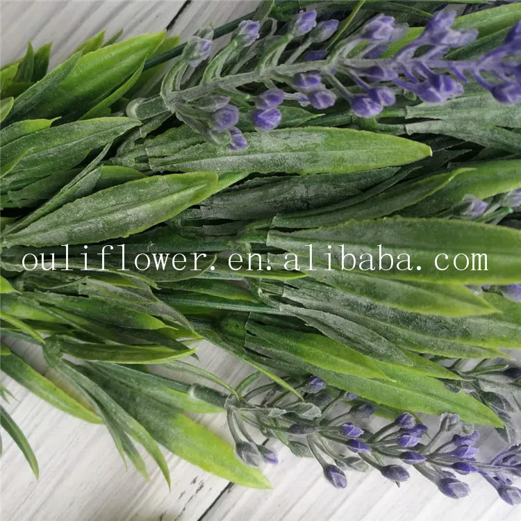 lavender (2).jpg