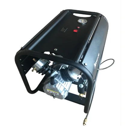 
Manual High Pressure Pump 4500psi 300bar Pcp Air Compressor For Pcp Paintball 