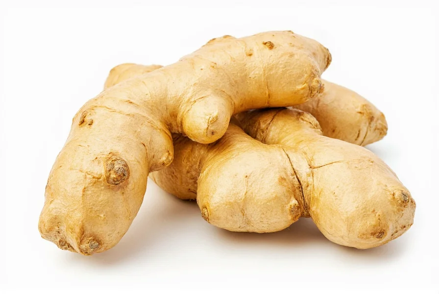 Ginger Plant Benefits: Science-Backed Health Advantages