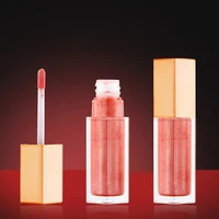 

OEM ODM Perfect private label tube packaging shiny glossy lipgloss my lip gloss