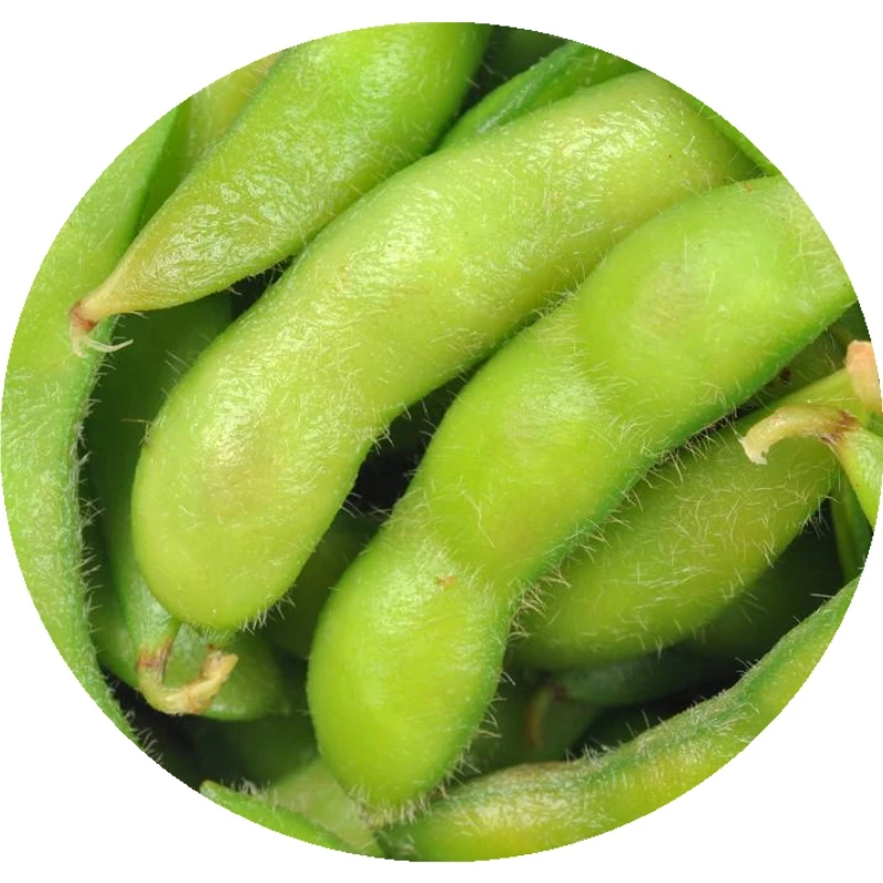 
DSF New Corp IQF Frozen Edamame for Wholesale 