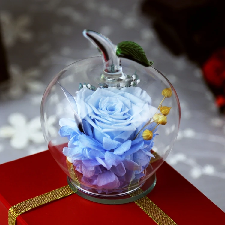 Ornamental Plants Real Flower Preserved Valentine'S Day Gift Box Eternal Rose in Glass 2026 Ornamental Plants
