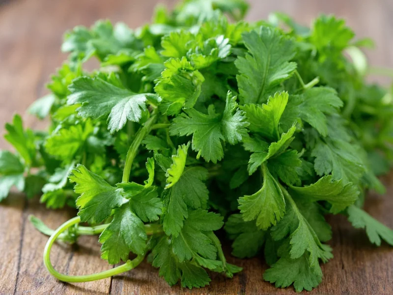 Parsley vs Cilantro: Key Differences Explained