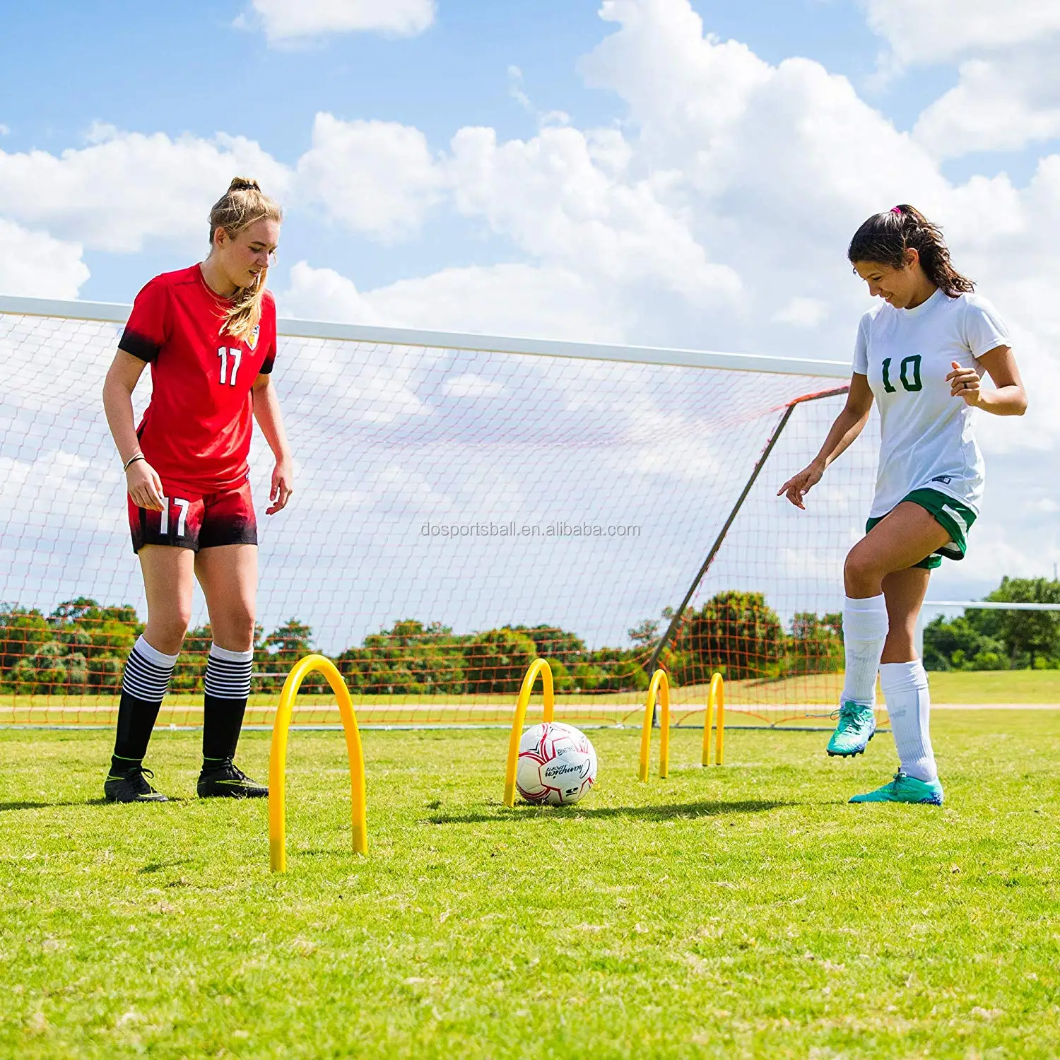 agility hurdles (23).jpg