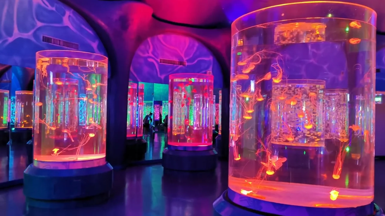 New Acrylic Bottom Filter Aquarium Tank,Small Huge Customized Fish