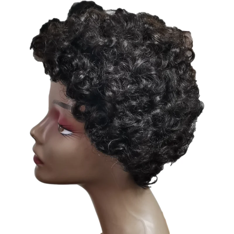 

Beauty products pixie curly short wigs natural afro curl ear wige lastic net short curly wig