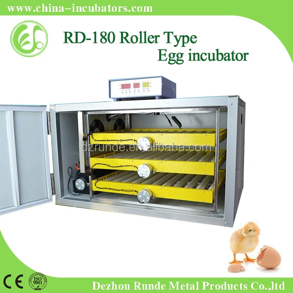 China Manufacturer Supply Wholesale Cheap Price Of Egg ...
