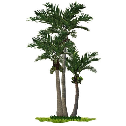 

Factory Sell Large Indoor Outdoor Mall Decorative Green Coconuts Fan Leaves Artificial Coconut Palm Tree