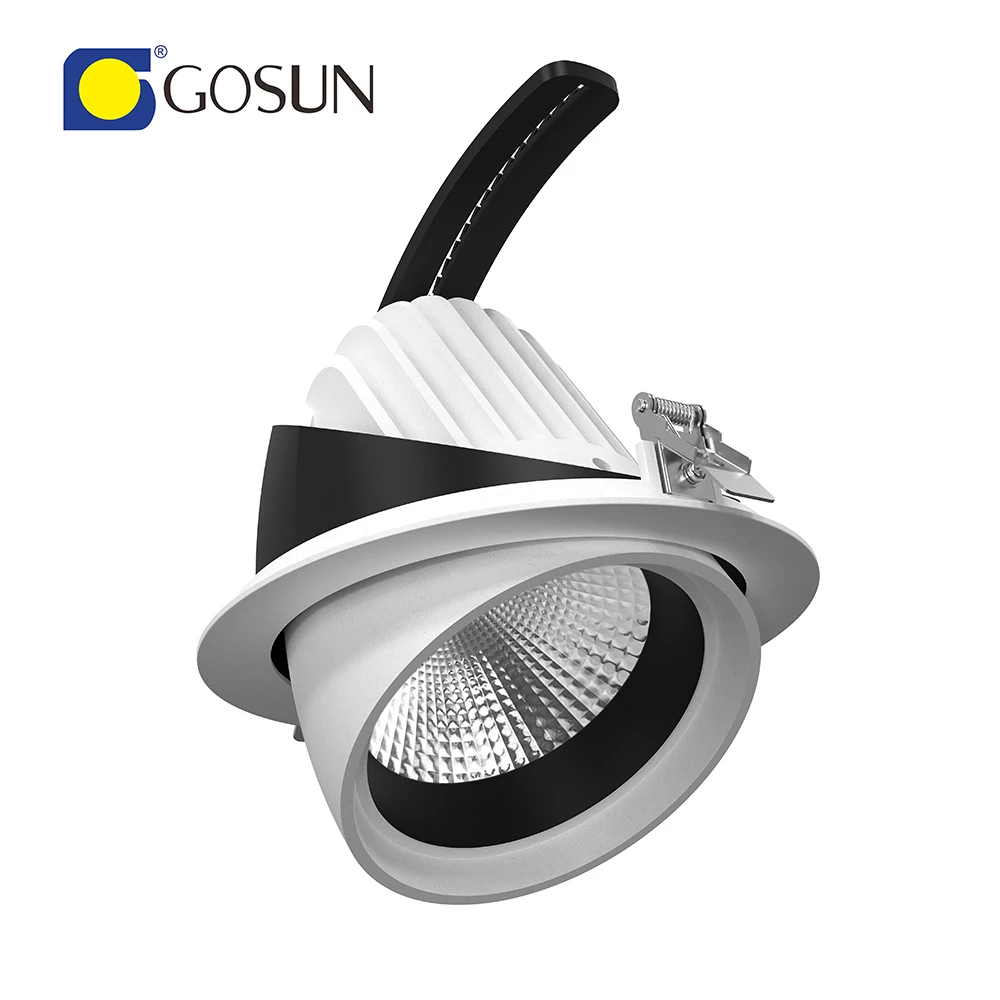 For Customizable Housing Recessed 8W-50W COB Spotlight Warm White Adjustable Recessed Downlight for Hotel Office Use 5-Year