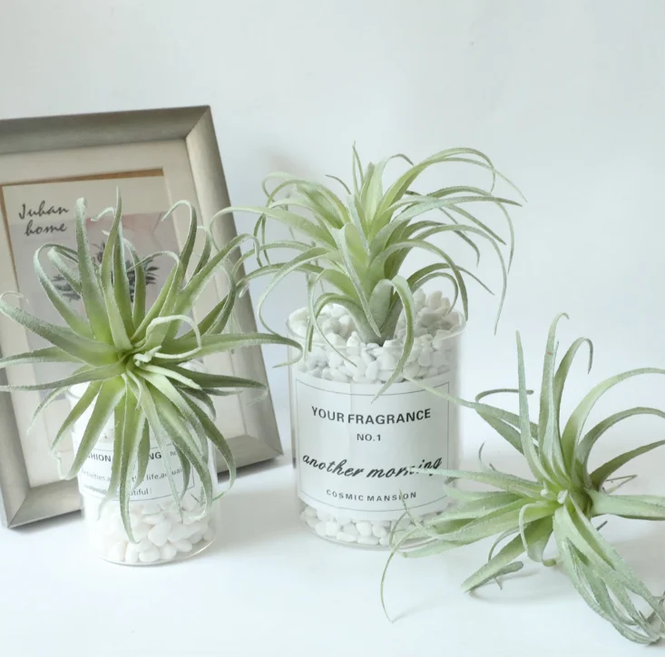 

Artificial succulent plants for decoration