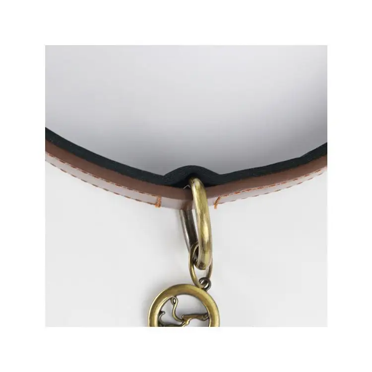 

The Most Popular eco friendly durable gold buckle buckles dog collar