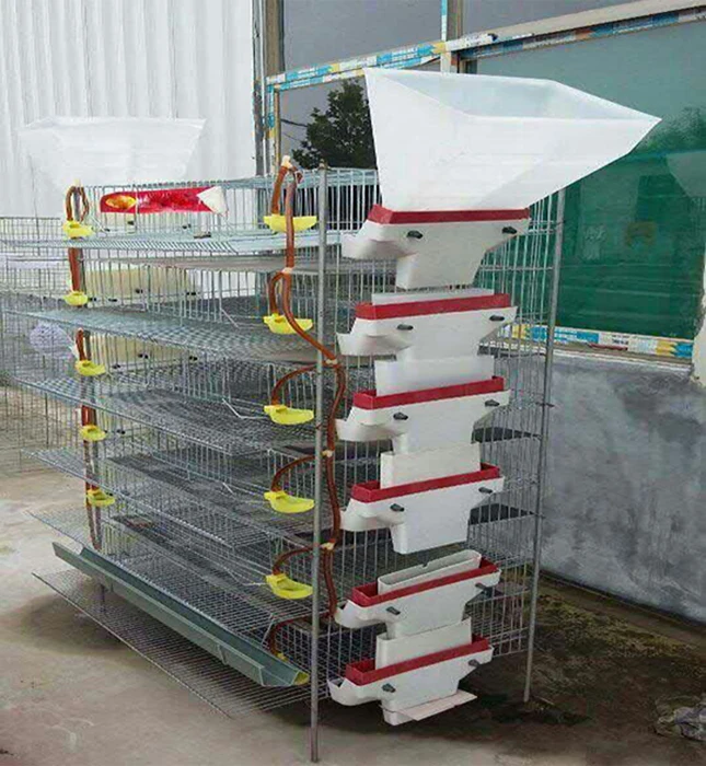 Galvanized type 6 tires professional layer quail cage Cheap price