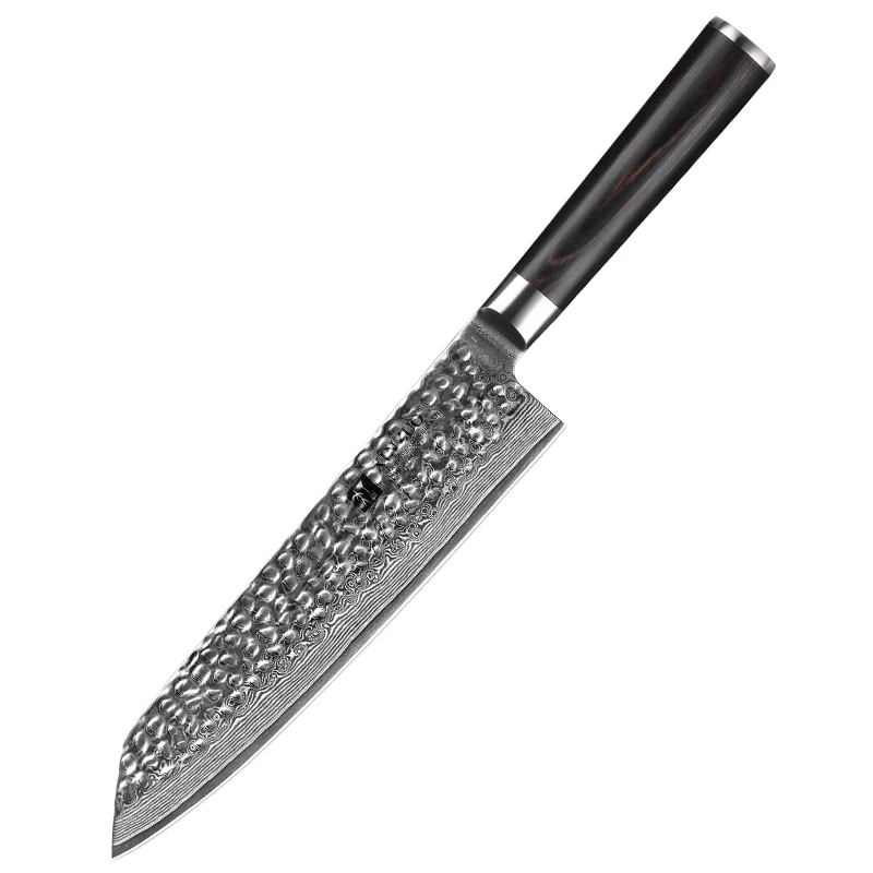 

8 inch professional Japanese 67 Layers Damascus Steel kitchen chef Knife