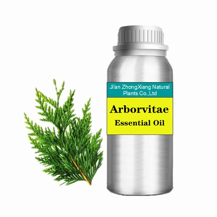 

100% Pure And Natural Arborvitae Essential Oil Oils Bulk Wholesale Premium Therapeutic Grade Undiluted