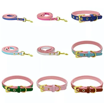 personalized dog collars and leashes