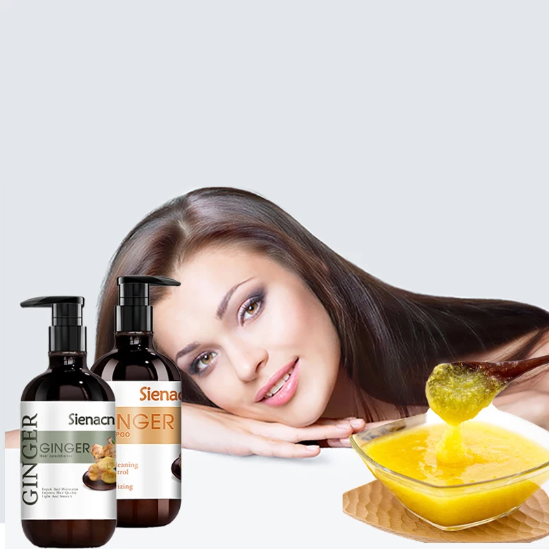 

Private Label Herbal Shampoo And Conditioner Care Set Oem Dandruff Hair Loss Natural Organic Hair Growth Ginger shampoo