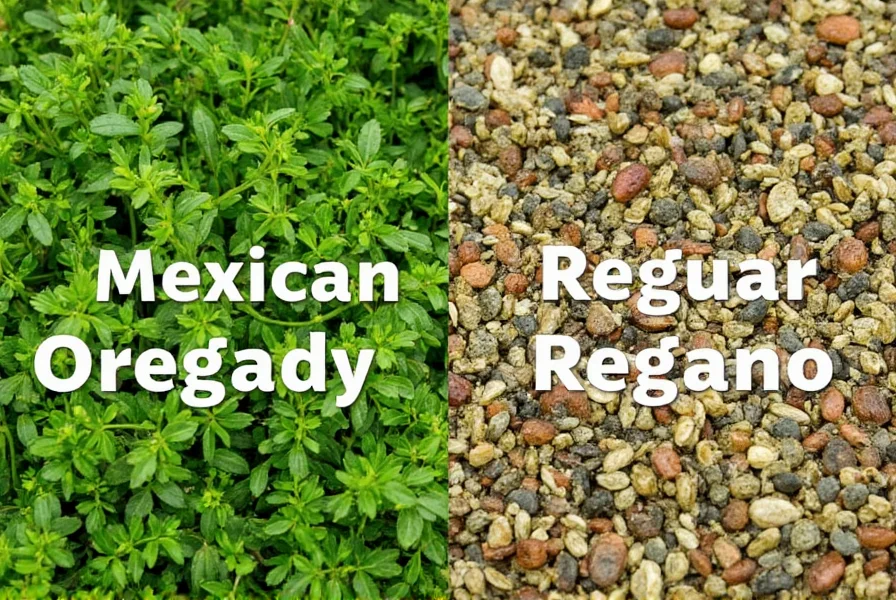 Organic oregano packaging label close-up