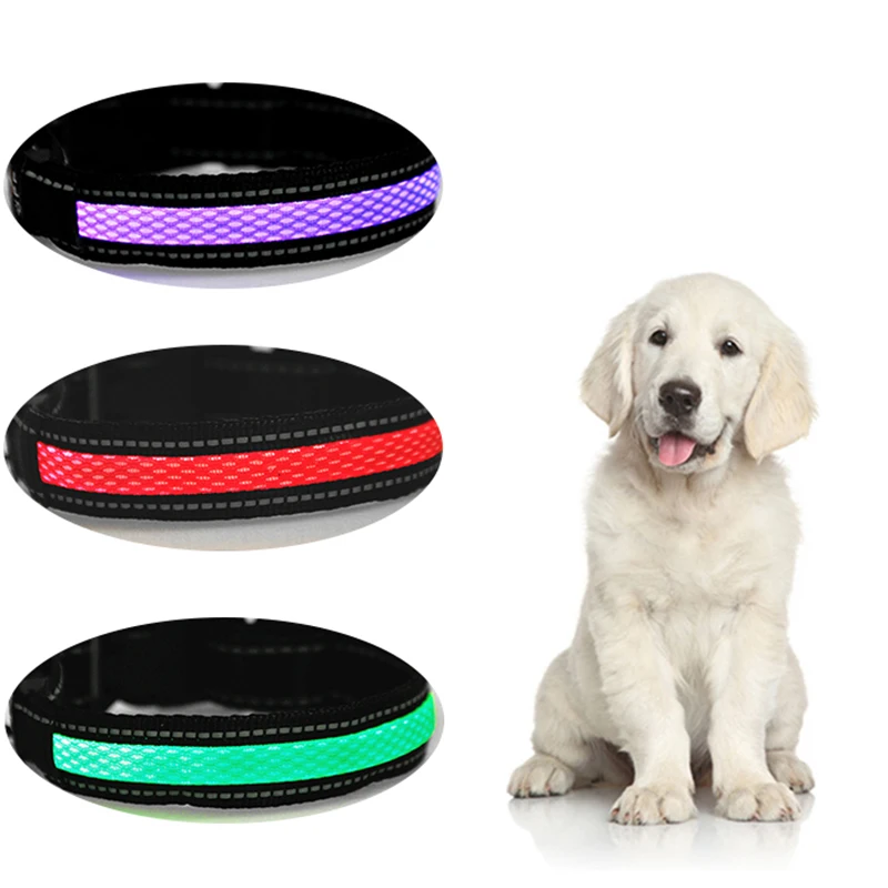 

New Product Usb Rechargeable Eco Friendly Led Waterproof Nylon Reflective Pet Dog Cat Collar, Blue/red/green