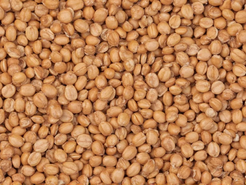 Lentil Calorie Count: Exact Numbers by Type and Serving