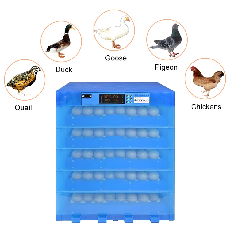 320 egg incubator-6.jpg