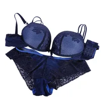 

Sexy Women Lace Bra And Panty Sets Cotton Embroidery Underwear Push Up Bra and Briefs