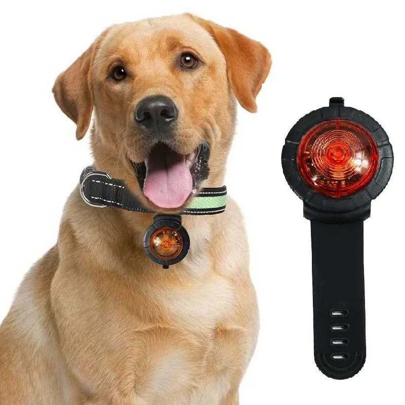 

New Waterproof Usb Charge Necklace Anti-lost Light Up Night Safety Glow Led Dog Pet Collar Clip Tag With line, Colors