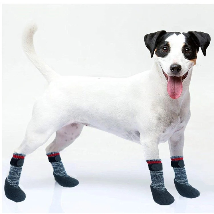 Waterproof Silicone Sole Soft Warm Looped Fabric Pet Dog Socks Buy
