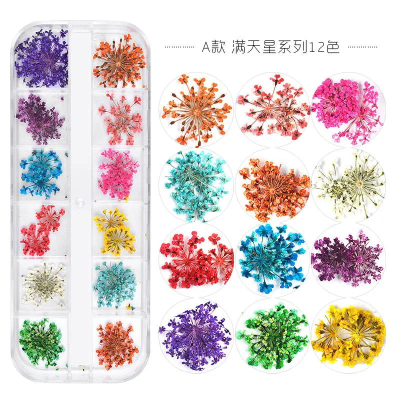 

12 Colors Dried Nail Flowers 3D Natural Daisy Gypsophila Pressed Dry Flower Nail Art Decorations Stickers Manicure Accessories