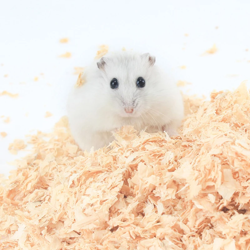 

Wholesale beddings for hamster aspen wood shaving hamster bedding small animal sawdust for hamster wood pellet litter bedding