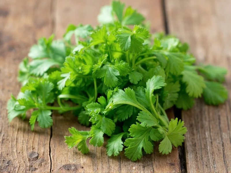 Cilantro vs Parsley: Key Differences and Best Uses