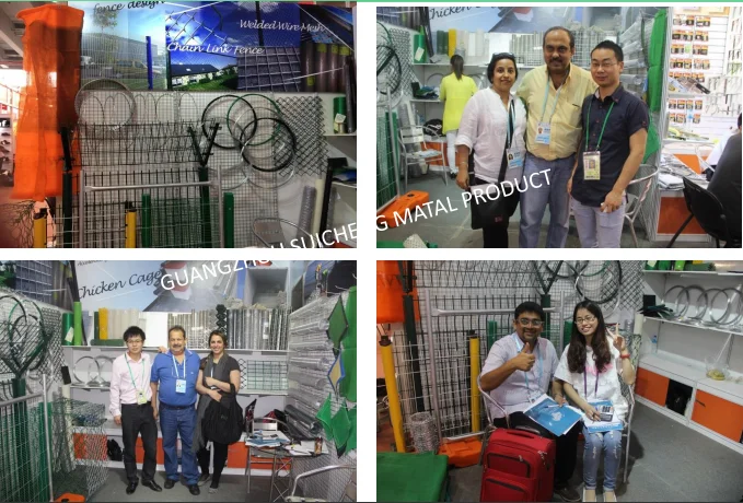 paste-pic-dp_uuid_7fm69