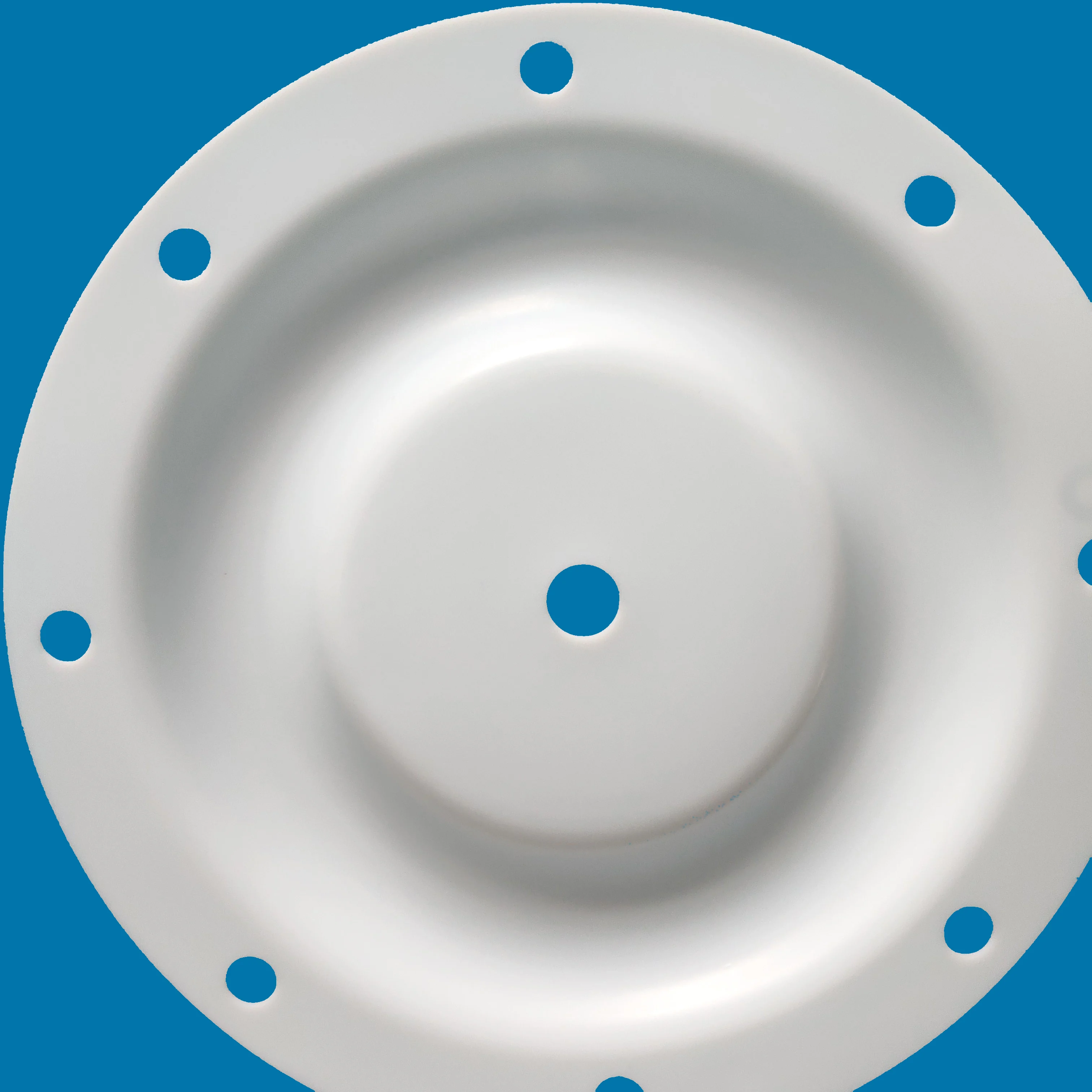 air pump parts  CF286-015-604 PTFE diaphragm as Air pump diaphragm supplier