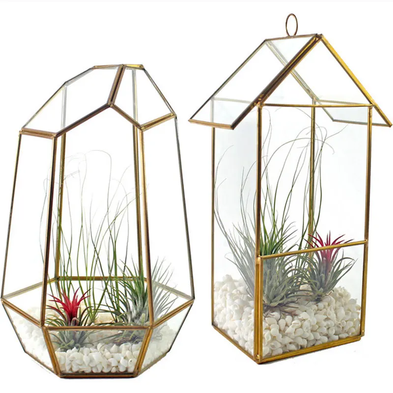 

Geometric Glass Terrarium black large geometric rectangle glass terrarium