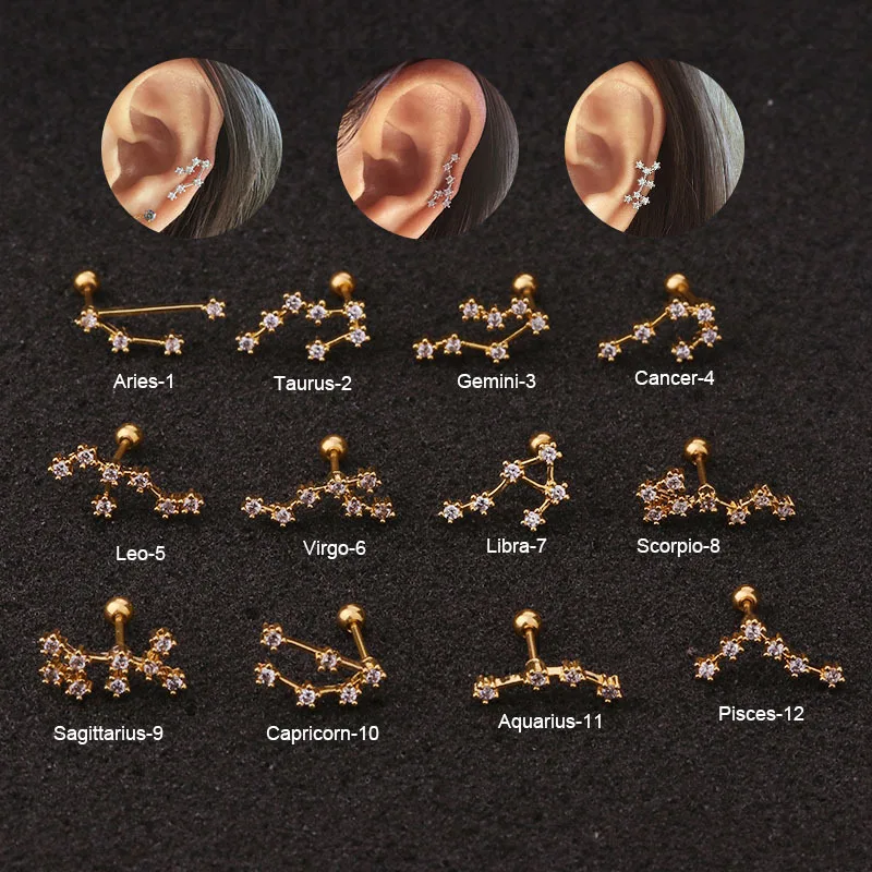 

Jewelry creative Stainless Steel Ear Piercing Jewelry Cz Twelve Constellation Cartilage Helix Rook Lobe Screw Back Stud Earring, Multicolor