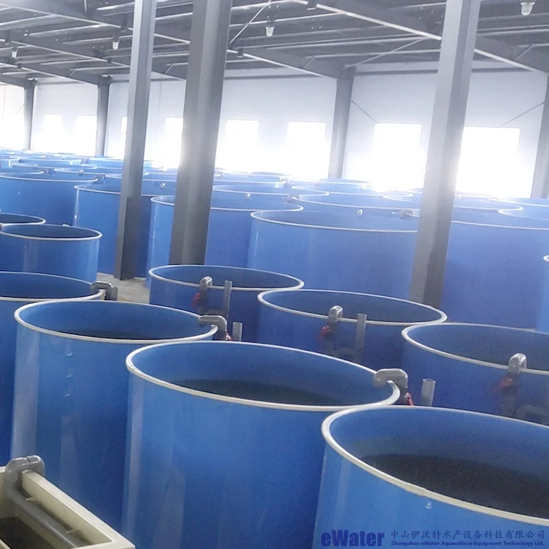 Fish Breeding Hatchery Tilapia Fish Hatchery Equipment For Sale Buy Tilapia Hatchery Equipment
